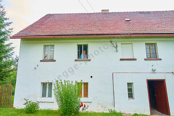 Reibnitz 91