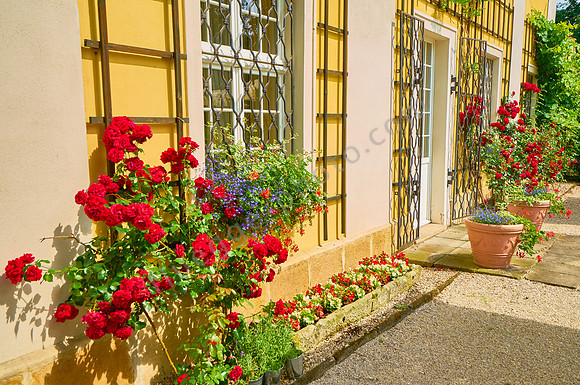 Schloss und Gut Lomnitz