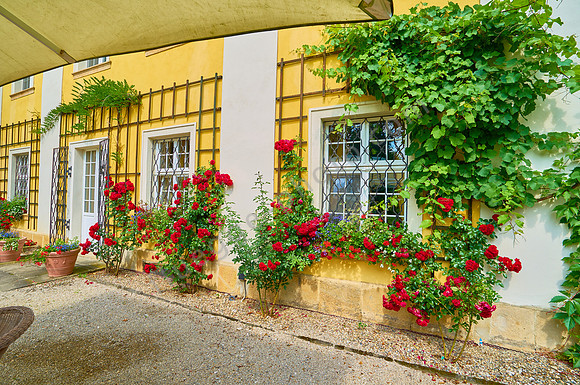 Schloss und Gut Lomnitz