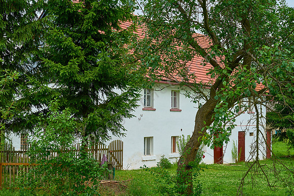 Reibnitz 91