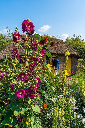 Im Garten von Emil Nolde