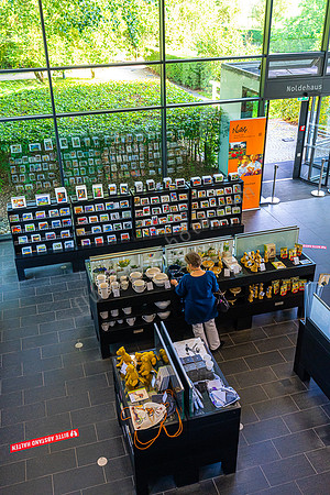 Emil Nolde Museum