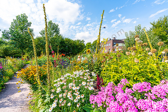 Im Garten von Emil Nolde