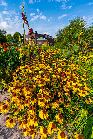 Im Garten von Emil Nolde