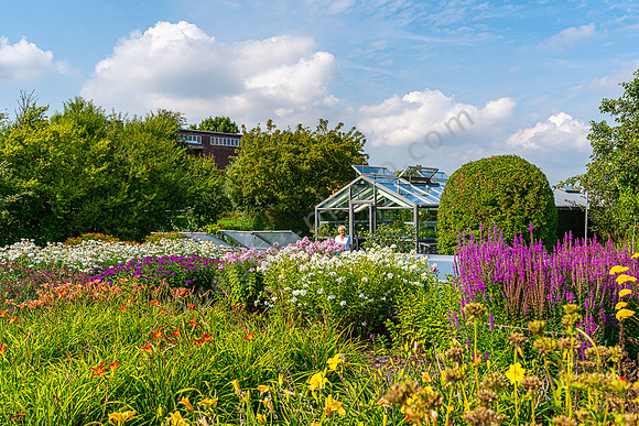Im Garten von Emil Nolde