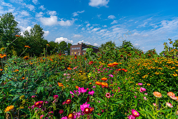 Im Garten von Emil Nolde