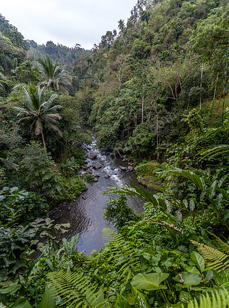 _MG_0046