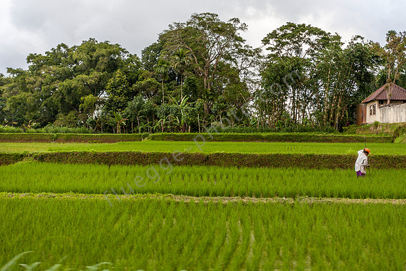 _MG_0644