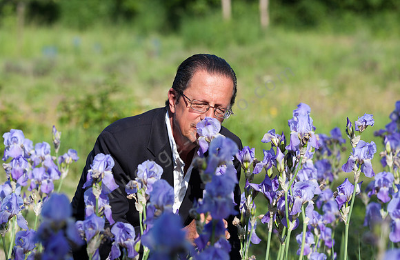 Nicolas de Barrys ganzer Stolz ist das Feld mit fliederfarbenen Schwertlilien in seinem Aromagarten