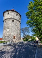_MG_9535