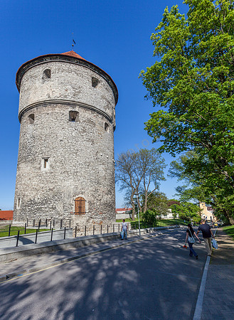 _MG_9535