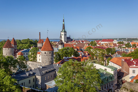 _MG_9584
