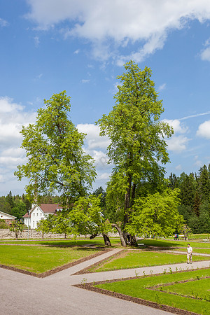 _MG_0203