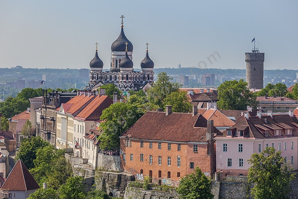_MG_9756