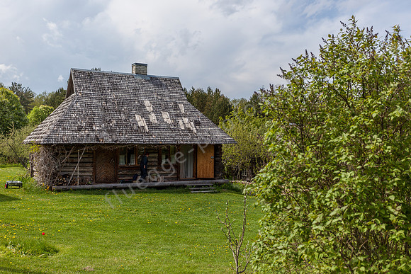 _MG_0291