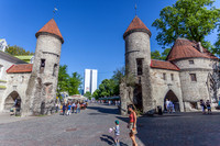 _MG_9443