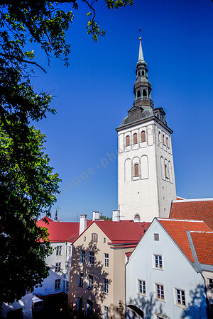 _MG_9479