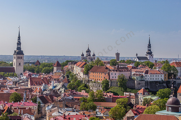 _MG_9748