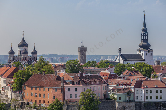 _MG_9757