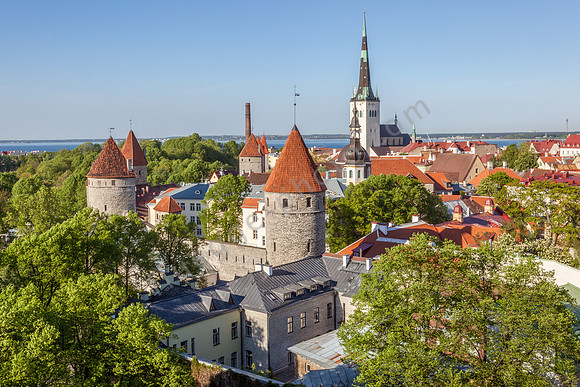 _MG_9590