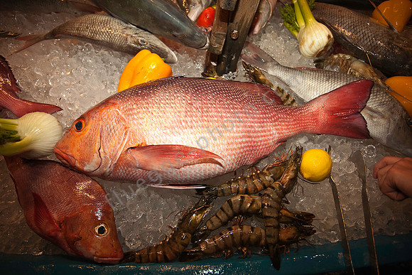 Korallenfische gibt es nicht nur unter Wasser zu sehen, sondern auch auf dem Büfett für den Grill