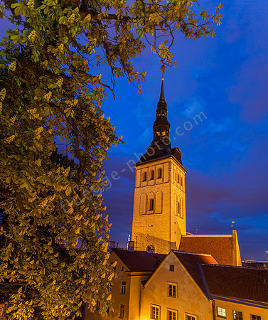 _MG_0151