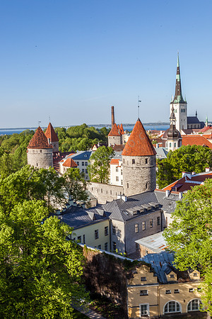 _MG_9588