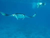 IMG_1709_1