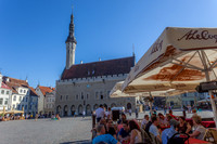 _MG_9487