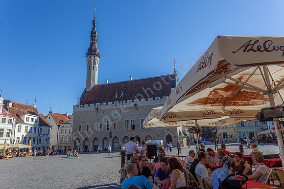 _MG_9487