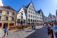 _MG_9436