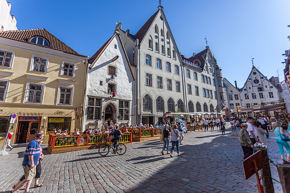 _MG_9436