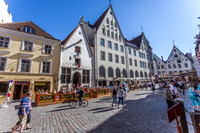 _MG_9436-2