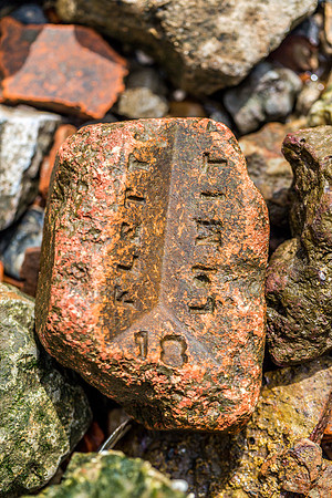 BC6A0412