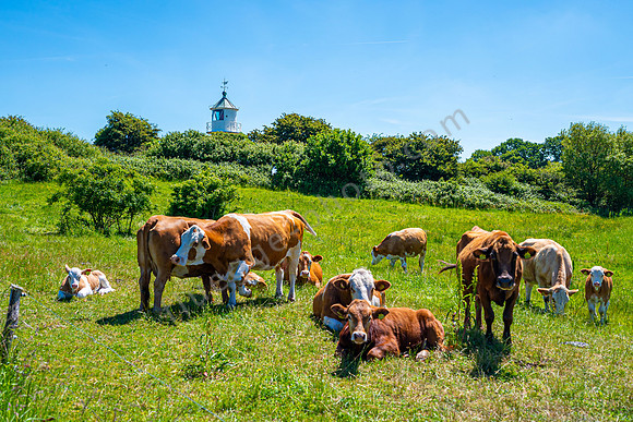 Impressionen auf der Insel Als
