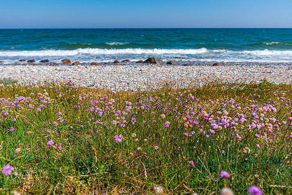 Impressionen auf der Insel Als