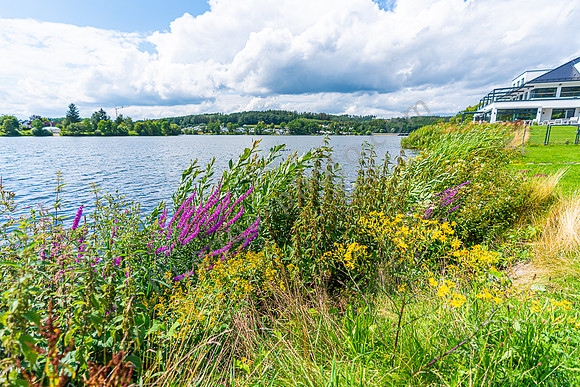 Impressionen Saulerland
