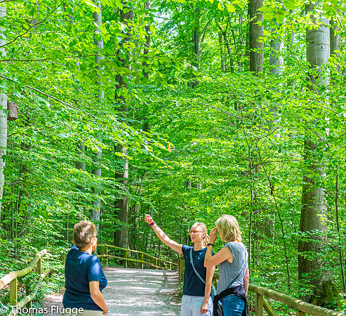 Spaziergang durch das Felsenmeer bei Hemer - Sauerland