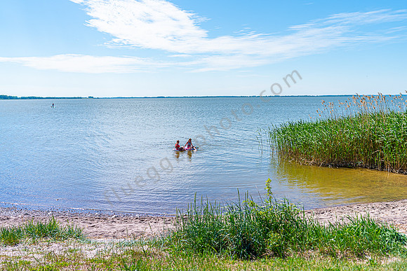 Badestelle am Achterwasser Usedom