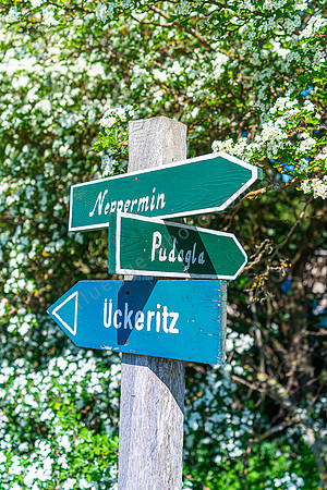 Wegweiser Usedom
