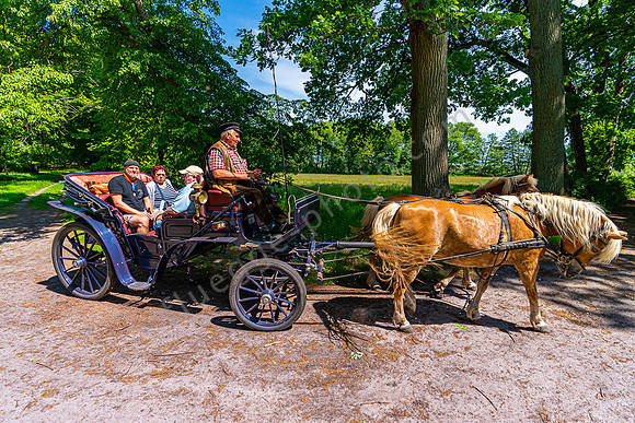 Pferdekutsche am Wasserschloss Mellenthin Usedom