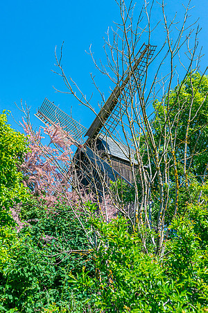 Windmühle Usedom