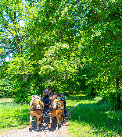 Pferdekutsche am Wasserschloss Mellenthin Usedom
