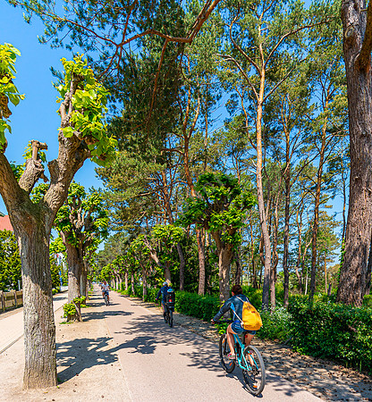 Fahrrad Promenade auf Usedom