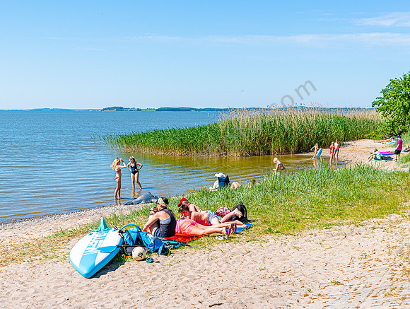 Badestelle am Achterwasser Usedom