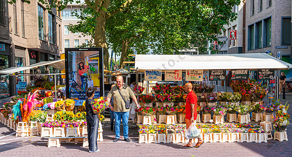 Blumenstand, Utrecht
