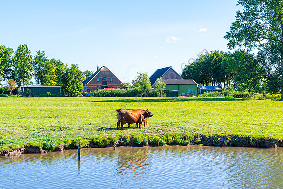 Impression Hollandse Ijssel
