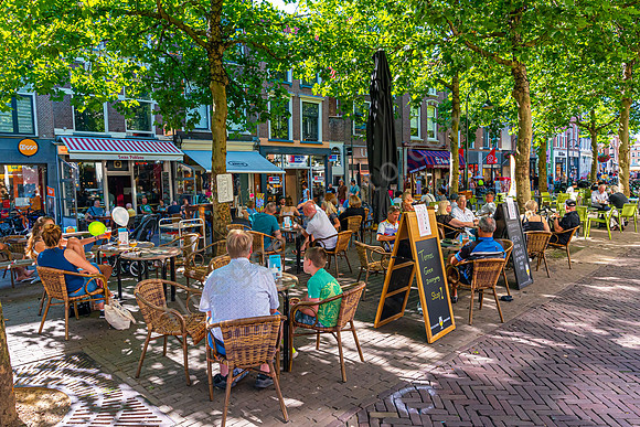 Beestenmarkt in Delft