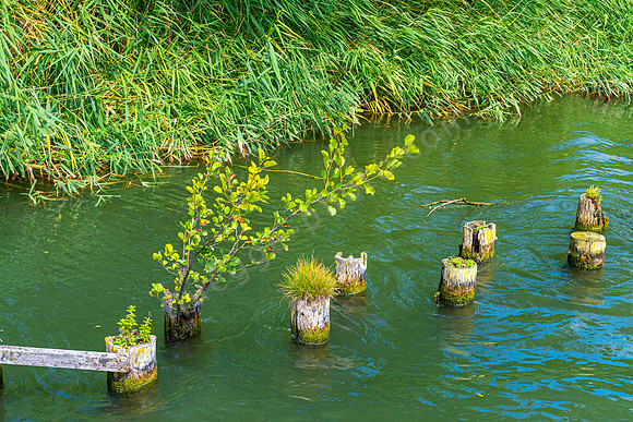 Impressionen an der Vecht
