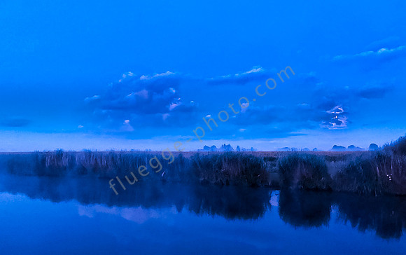 Marina Marnemoende im Morgennebel